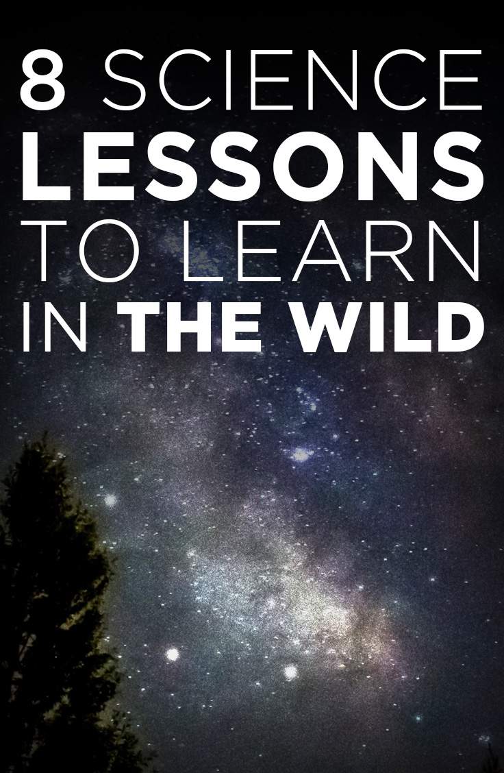 8 science lessons to learn in the wild