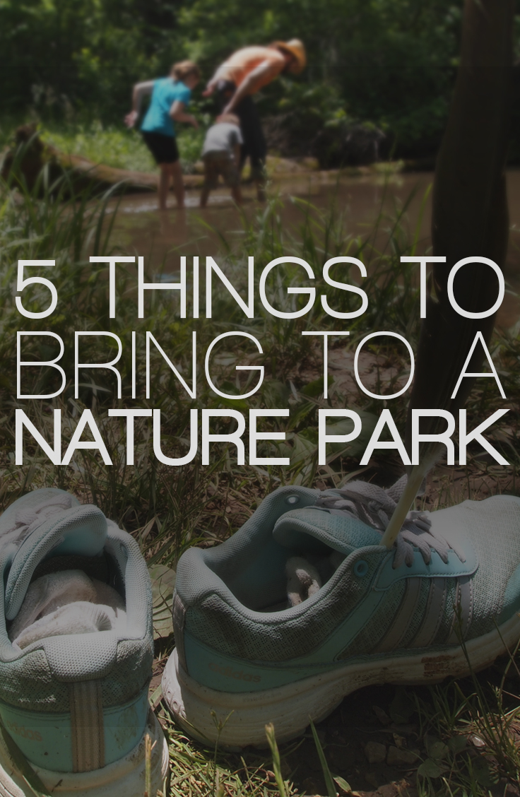 There is an endless amount of fun activities to enjoy in a nature park. You're only limited by your perspective, creativity, and preparation. Here is a list of five things to bring to your next trip to the nature park.